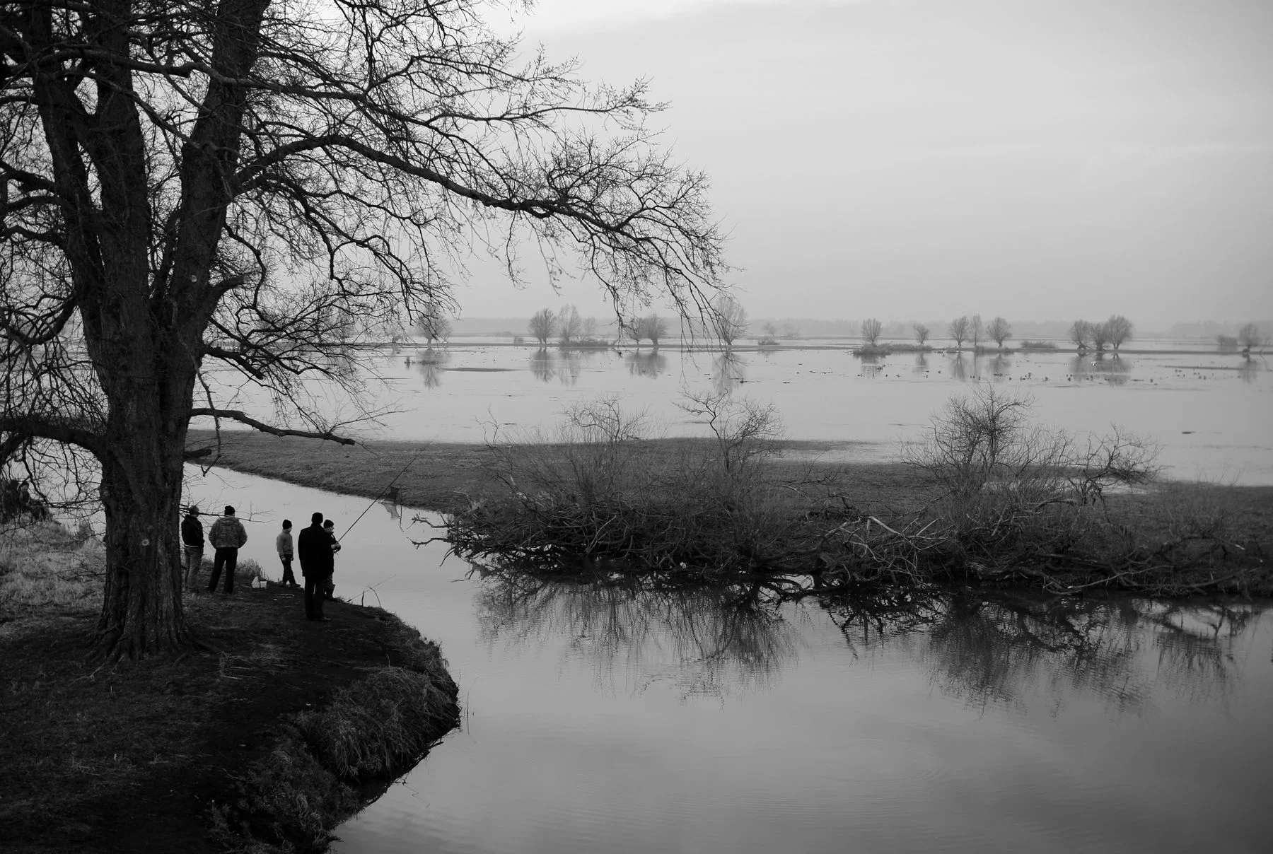 Wędkarze nad zamgloną rzeką